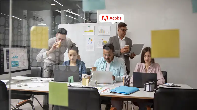 Adobe assessment ready